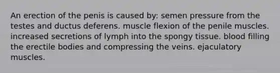 An erection of the penis is caused by: semen pressure from the testes and ductus deferens. muscle flexion of the penile muscles. increased secretions of lymph into the spongy tissue. blood filling the erectile bodies and compressing the veins. ejaculatory muscles.