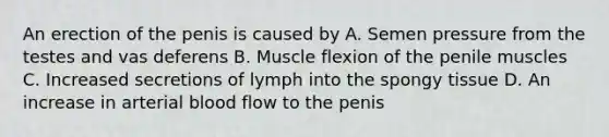 An erection of the penis is caused by A. Semen pressure from the testes and vas deferens B. Muscle flexion of the penile muscles C. Increased secretions of lymph into the spongy tissue D. An increase in arterial blood flow to the penis