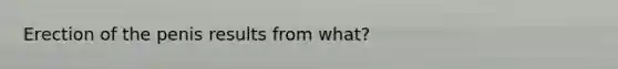 Erection of the penis results from what?