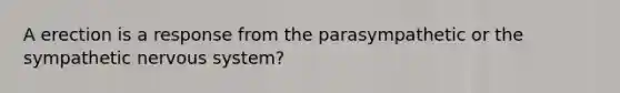 A erection is a response from the parasympathetic or the sympathetic nervous system?