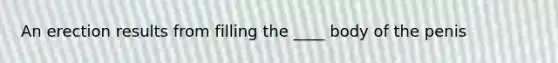 An erection results from filling the ____ body of the penis