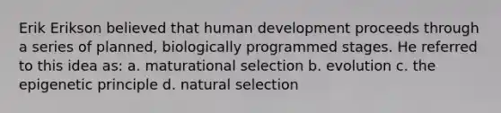 Erik Erikson believed that human development proceeds through a series of planned, biologically programmed stages. He referred to this idea as: a. maturational selection b. evolution c. the epigenetic principle d. natural selection