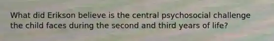 What did Erikson believe is the central psychosocial challenge the child faces during the second and third years of life?