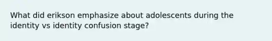 What did erikson emphasize about adolescents during the identity vs identity confusion stage?