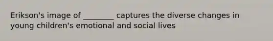 Erikson's image of ________ captures the diverse changes in young children's emotional and social lives