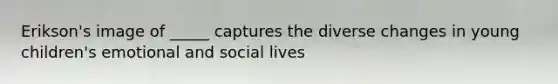 Erikson's image of _____ captures the diverse changes in young children's emotional and social lives