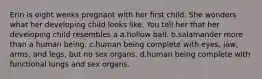 Erin is eight weeks pregnant with her first child. She wonders what her developing child looks like. You tell her that her developing child resembles a a.hollow ball. b.salamander more than a human being. c.human being complete with eyes, jaw, arms, and legs, but no sex organs. d.human being complete with functional lungs and sex organs.