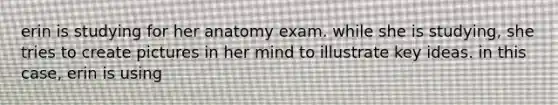 erin is studying for her anatomy exam. while she is studying, she tries to create pictures in her mind to illustrate key ideas. in this case, erin is using