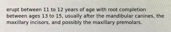 erupt between 11 to 12 years of age with root completion between ages 13 to 15, usually after the mandibular canines, the maxillary incisors, and possibly the maxillary premolars.