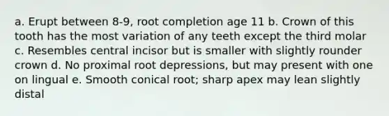 a. Erupt between 8-9, root completion age 11 b. Crown of this tooth has the most variation of any teeth except the third molar c. Resembles central incisor but is smaller with slightly rounder crown d. No proximal root depressions, but may present with one on lingual e. Smooth conical root; sharp apex may lean slightly distal