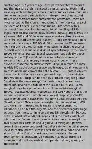 eruption age: 6-7 years of age. -first permanent teeth to erupt into the maxillary arch. -nonsuccedaneous -largest tooth in the maxillary arch and largest crown -more complex crown than max premolars. -LEAST variable in form. -larger roots than second molars and roots are more complex than premolars. -roots are twice as long as the crown. - furcations far from cervical area of the tooth and distal is wider than mesial. -root concavities sectioned 2mm apical to the furca, 94..31 and lingual 17%. -lingual root largest and longest, extends lingually and curves like a banana. -MB and DB have extreme curvature (like pliers) and MD is the second largest and longest. -3 pulp canals and 3 pulp horns. -4 major cusps, MB DB ML DL - can see the ML between them MB and DB . with a fifth nonfunctioning cusp the cusp of carabelli -occlusal outline is divided symmetrically by the buccal groove (extends b/w two buccal cusps and runs apically about halfway to the CEJ) -distal outline is rounded or convex and mesial is flat. -cej is slightly curved apically but with less curvature than that on anterior teeth. -lingual surface is almost as wide MD as the buccal surface and is trapezoidal however it is more rounded and convex than the buccal!!! -DL groove divides the occlusal outline into two asymmetrical parts. -Mesial view: only MB and ML cusp can be seen w/ a mesial marginal groove -Distal view: the same except the mesial cusp tips are seen projecting beyond the outline of the DB and DL cusps. - distal marginal ridge less prominent but still has a distal marginal groove. -occlusal outline: rhomboidal -MB CUSP sharp and is the second largest cusp!!! which has a mesial cusp ridge -the MB cusp is important in classifying the perm dentition using Angle's Classification of Malocclusion in relation to the mand arch. -DB cusp tip is the sharpest and is the third largest cusp. -ML rounded cusp tip but the largest!! and the distal triangular ridge extends from the cusp tip in an oblique DB direction!!! -DL cusp is the smallest of the MAJOR cusps and is the most variable of this group. -4 fossae present, central fossa has a central pit that divides into two parts: M and D groove -3 triangular grooves present -transverse groove of the oblique ridge- the distal groove (next to central groove) crosses over the oblique ridge and ends at the distal pit Clinical considerations: -important in the development of occlusion -DB surfaces may have increased supragingival tooth deposits due to parotid salivary gland just opposite of it.