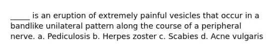 _____ is an eruption of extremely painful vesicles that occur in a bandlike unilateral pattern along the course of a peripheral nerve. a. Pediculosis b. Herpes zoster c. Scabies d. Acne vulgaris