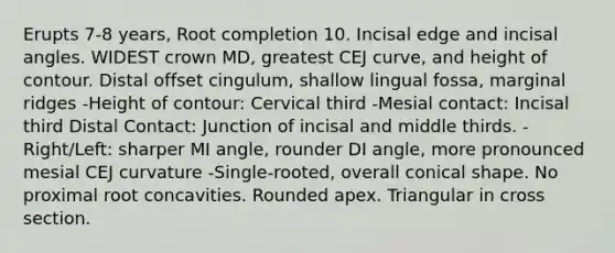 Erupts 7-8 years, Root completion 10. Incisal edge and incisal angles. WIDEST crown MD, greatest CEJ curve, and height of contour. Distal offset cingulum, shallow lingual fossa, marginal ridges -Height of contour: Cervical third -Mesial contact: Incisal third Distal Contact: Junction of incisal and middle thirds. -Right/Left: sharper MI angle, rounder DI angle, more pronounced mesial CEJ curvature -Single-rooted, overall conical shape. No proximal root concavities. Rounded apex. Triangular in cross section.