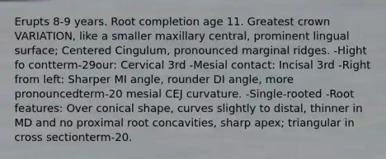 Erupts 8-9 years. Root completion age 11. Greatest crown VARIATION, like a smaller maxillary central, prominent lingual surface; Centered Cingulum, pronounced marginal ridges. -Hight fo contterm-29our: Cervical 3rd -Mesial contact: Incisal 3rd -Right from left: Sharper MI angle, rounder DI angle, more pronouncedterm-20 mesial CEJ curvature. -Single-rooted -Root features: Over conical shape, curves slightly to distal, thinner in MD and no proximal root concavities, sharp apex; triangular in cross sectionterm-20.