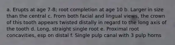 a. Erupts at age 7-8; root completion at age 10 b. Larger in size than the central c. From both facial and lingual views, the crown of this tooth appears twisted distally in regard to the long axis of the tooth d. Long, straight single root e. Proximal root concavities, esp on distal f. Single pulp canal with 3 pulp horns