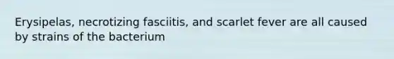 Erysipelas, necrotizing fasciitis, and scarlet fever are all caused by strains of the bacterium