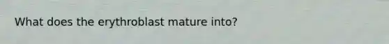 What does the erythroblast mature into?