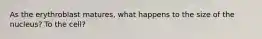 As the erythroblast matures, what happens to the size of the nucleus? To the cell?