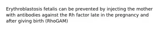 Erythroblastosis fetalis can be prevented by injecting the mother with antibodies against the Rh factor late in the pregnancy and after giving birth (RhoGAM)