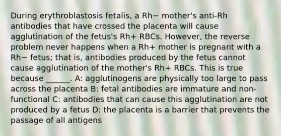 During erythroblastosis fetalis, a Rh− mother's anti-Rh antibodies that have crossed the placenta will cause agglutination of the fetus's Rh+ RBCs. However, the reverse problem never happens when a Rh+ mother is pregnant with a Rh− fetus; that is, antibodies produced by the fetus cannot cause agglutination of the mother's Rh+ RBCs. This is true because ______. A: agglutinogens are physically too large to pass across the placenta B: fetal antibodies are immature and non-functional C: antibodies that can cause this agglutination are not produced by a fetus D: the placenta is a barrier that prevents the passage of all antigens