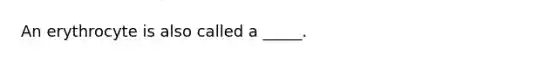 An erythrocyte is also called a _____.