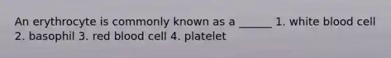 An erythrocyte is commonly known as a ______ 1. white blood cell 2. basophil 3. red blood cell 4. platelet