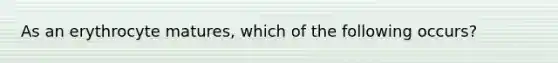 As an erythrocyte matures, which of the following occurs?