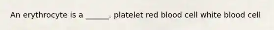 An erythrocyte is a ______. platelet red blood cell white blood cell