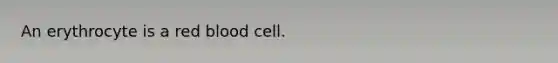 An erythrocyte is a red blood cell.