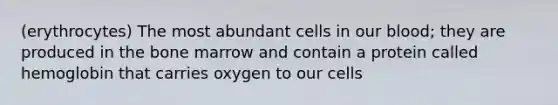 (erythrocytes) The most abundant cells in our blood; they are produced in the bone marrow and contain a protein called hemoglobin that carries oxygen to our cells