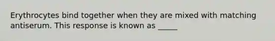 Erythrocytes bind together when they are mixed with matching antiserum. This response is known as _____