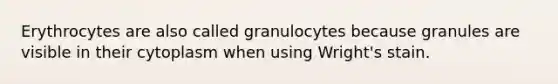 Erythrocytes are also called granulocytes because granules are visible in their cytoplasm when using Wright's stain.