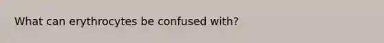 What can erythrocytes be confused with?