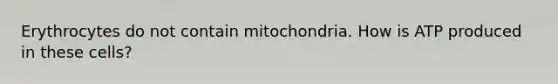 Erythrocytes do not contain mitochondria. How is ATP produced in these cells?