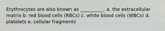 Erythrocytes are also known as __________. a. the extracellular matrix b. red blood cells (RBCs) c. white blood cells (WBCs) d. platelets e. cellular fragments