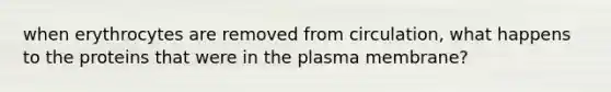 when erythrocytes are removed from circulation, what happens to the proteins that were in the plasma membrane?