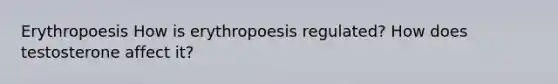 Erythropoesis How is erythropoesis regulated? How does testosterone affect it?