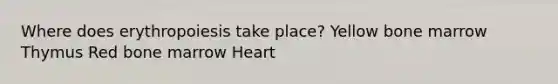 Where does erythropoiesis take place? Yellow bone marrow Thymus Red bone marrow Heart