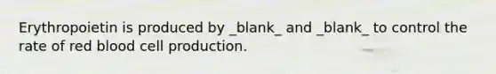 Erythropoietin is produced by _blank​_ and _blank​_ to control the rate of red blood cell production.