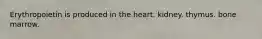 Erythropoietin is produced in the heart. kidney. thymus. bone marrow.