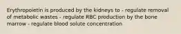 Erythropoietin is produced by the kidneys to - regulate removal of metabolic wastes - regulate RBC production by the bone marrow - regulate blood solute concentration