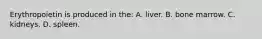 Erythropoietin is produced in the: A. liver. B. bone marrow. C. kidneys. D. spleen.