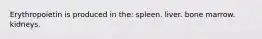 Erythropoietin is produced in the: spleen. liver. bone marrow. kidneys.