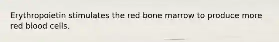 Erythropoietin stimulates the red bone marrow to produce more red blood cells.