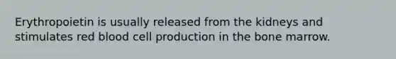 Erythropoietin is usually released from the kidneys and stimulates red blood cell production in the bone marrow.