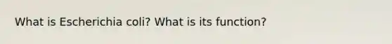 What is Escherichia coli? What is its function?