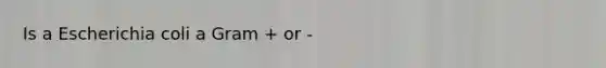 Is a Escherichia coli a Gram + or -