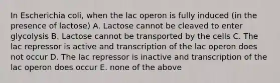 In Escherichia coli, when the lac operon is fully induced (in the presence of lactose) A. Lactose cannot be cleaved to enter glycolysis B. Lactose cannot be transported by the cells C. The lac repressor is active and transcription of the lac operon does not occur D. The lac repressor is inactive and transcription of the lac operon does occur E. none of the above