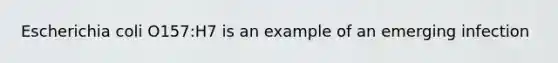 Escherichia coli O157:H7 is an example of an emerging infection