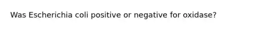 Was Escherichia coli positive or negative for oxidase?